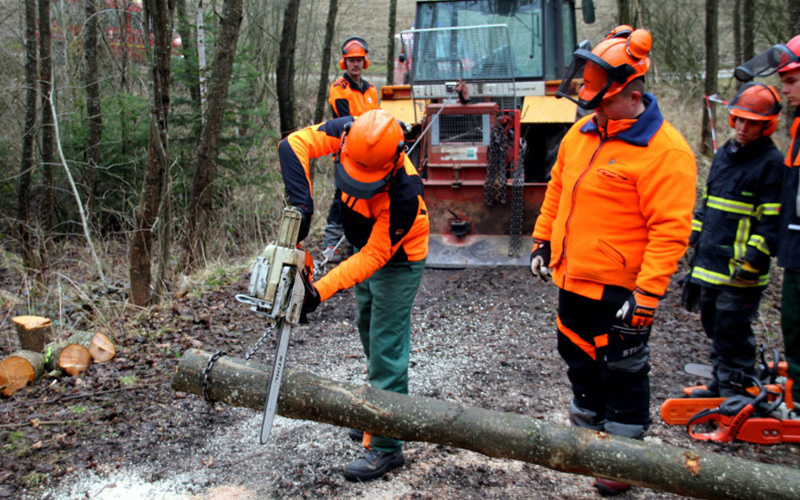 Arbeit mit der Motorsäge