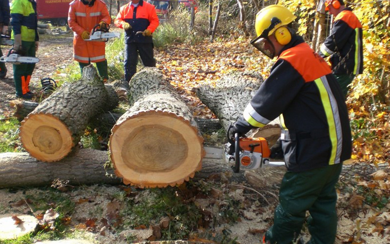 Arbeit mit der Motorsäge