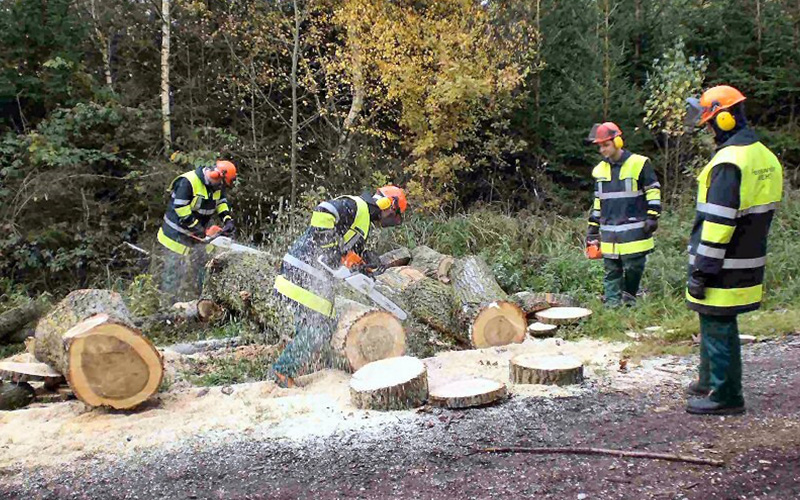Arbeit mit der Motorsäge
