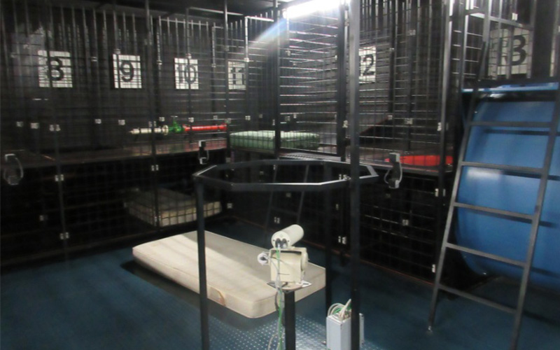 Kreisbrandinspektion Dachau