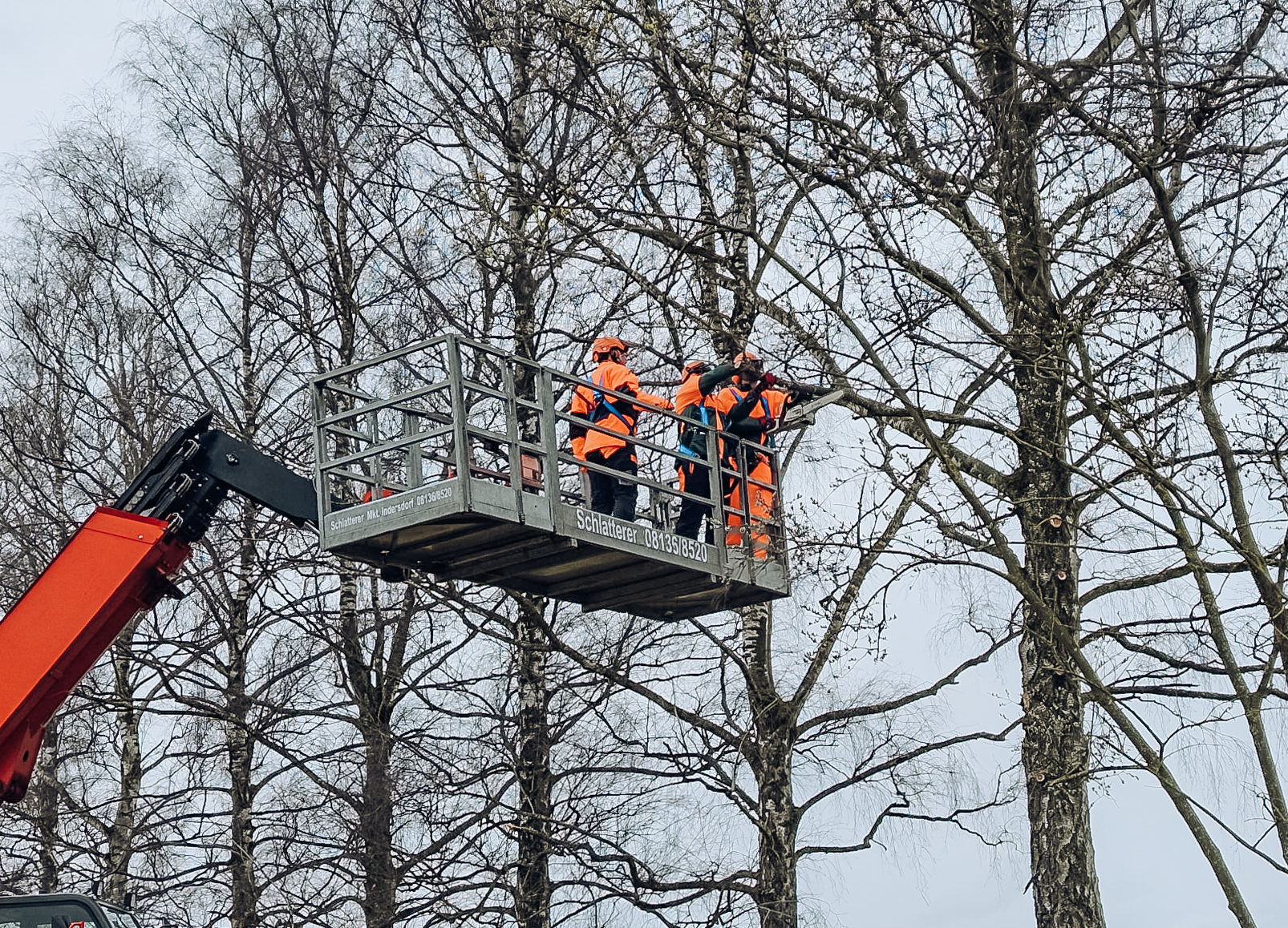 Gut gerüstet für den Einsatz: 10 Feuerwehrleute trainieren Motorsägenarbeit in großer Höhe