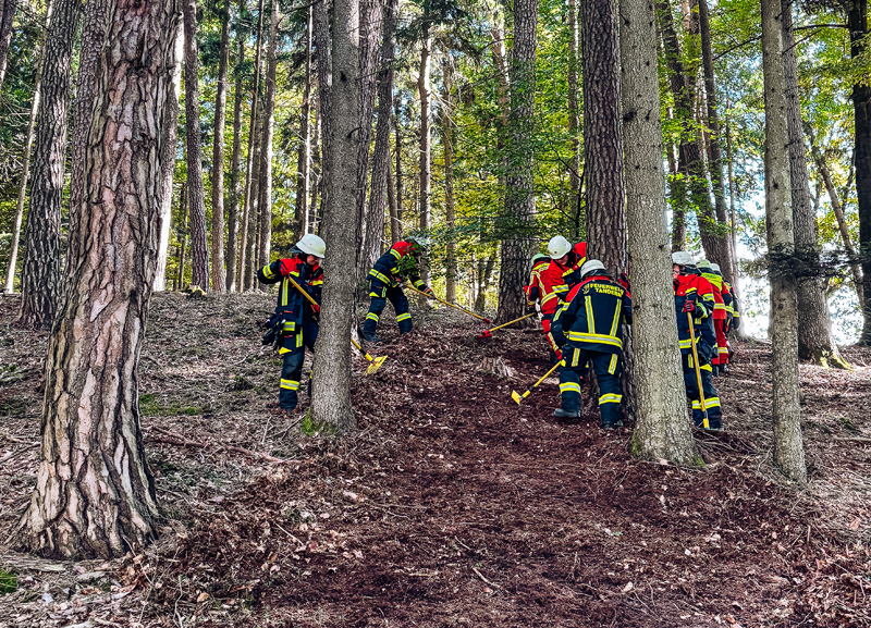 Gemeinsam stark gegen Waldbrände – Feuerwehren im Landkreis Dachau üben den Ernstfall