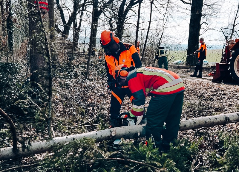 19 neue Motorsägenführer ausgebildet