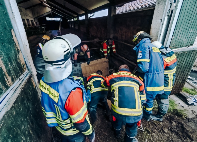 Aufwändige Großtierrettung in Günding
