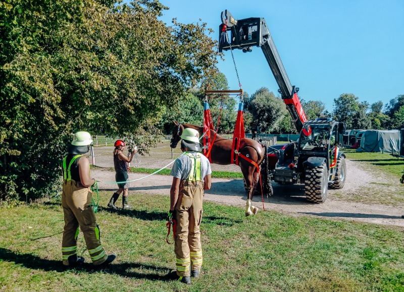 Ausbildung zur Technischen Großtierrettung in Hebertshausen