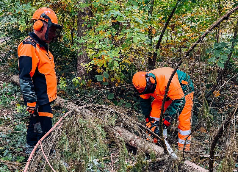 Motorsägen-Lehrgang