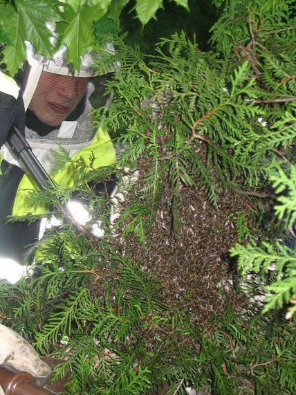 Kreisbrandinspektion Dachau