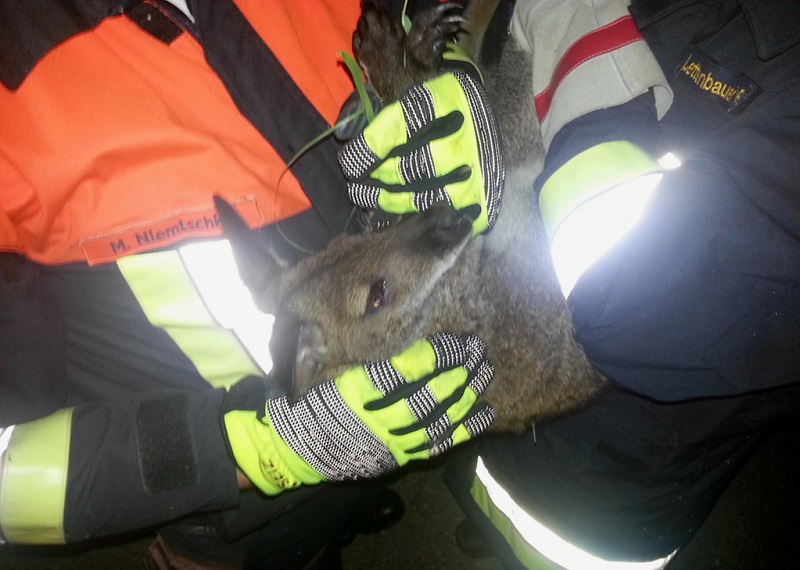 Kreisbrandinspektion Dachau